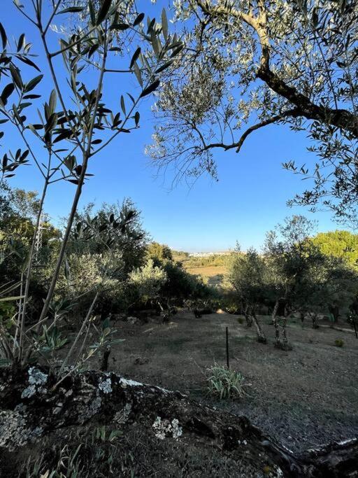 Villa Maria, Casa Rural En Cazalla De La Sierra. Εξωτερικό φωτογραφία